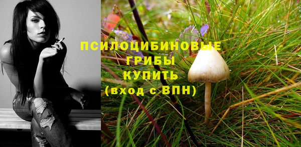 спиды Абинск