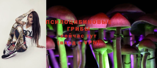 каннабис Абаза