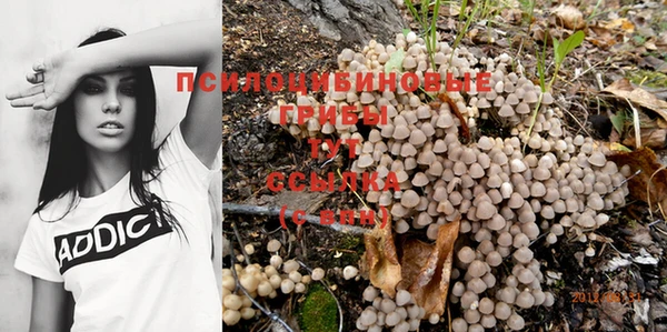 спиды Абинск